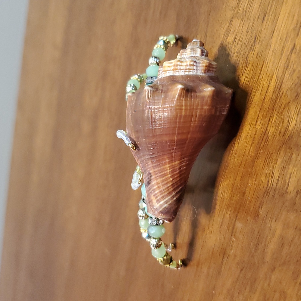 Beaded Sea Shell Hermit Crab - Picture 3 of 6